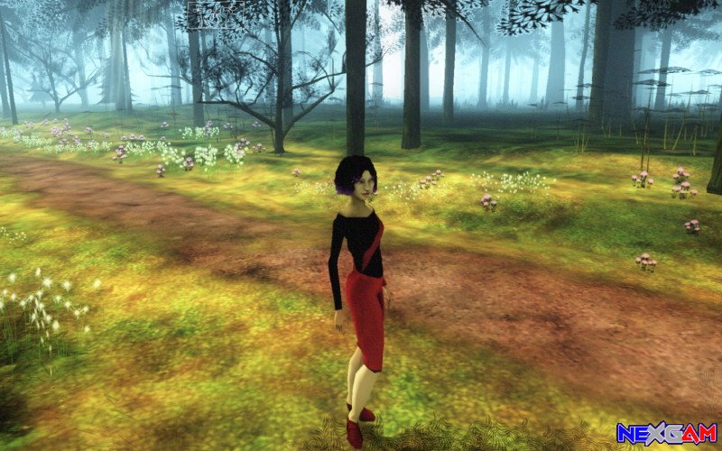 The Path
