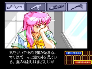 shinsetsu-shiawase-usagi-2-pc-engine-00
