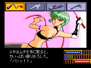 Shinsetsu Shiawase Usagi 2