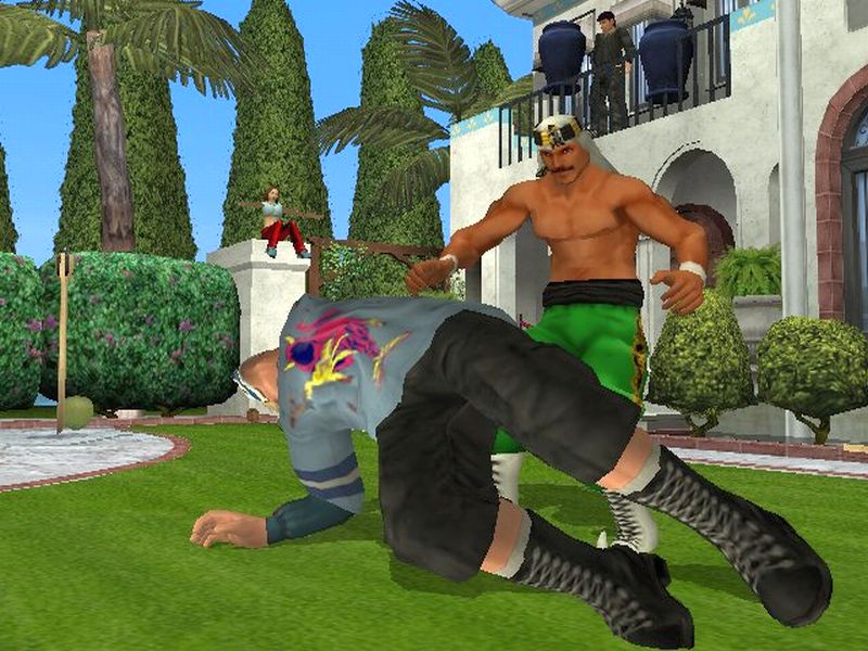 Backyard Wrestling - Don't try this at Home