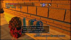3D_Dot_Game_Heroes_11