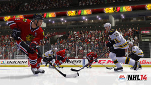NHL-14-06