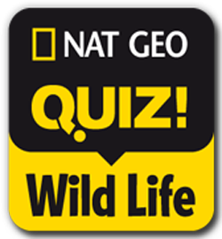 Nat Geo Quiz! Wild Life