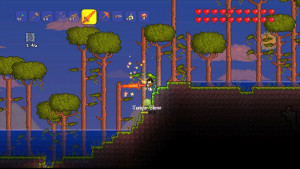 Terraria_16