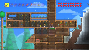 Terraria_17