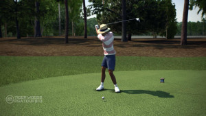 Tiger_Woods_PGA_Tour_13_1