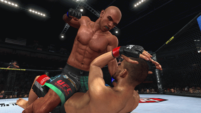50581_Fitch_vs_Alves_0047.gif 50581_Fitch_vs_Alves_0047.gif
