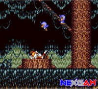 Tails-Adventure-1.jpg Tails-Adventure-1.jpg