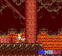 Tails-Adventure-2.jpg Tails-Adventure-2.jpg
