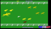Activision-Hits-Remixed-3.jpg Activision-Hits-Remixed-3.jpg