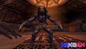 Alien-vs-Predator-Survival-of-the-Fittest-1.jpg Alien-vs-Predator-Survival-of-the-Fittest-1.jpg