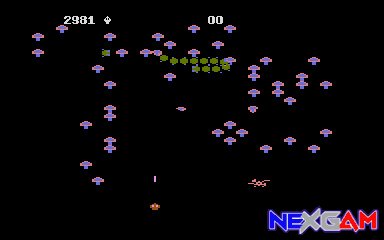 Centipede-1.jpg Centipede-1.jpg