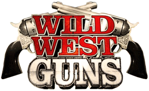 Wild West Guns (WiiWare)